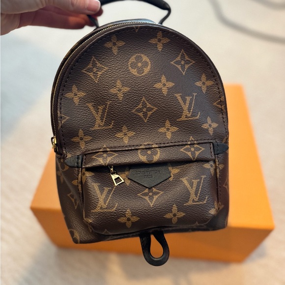 Louis Vuitton Handbags - Louis Vuitton Palm Springs Mini